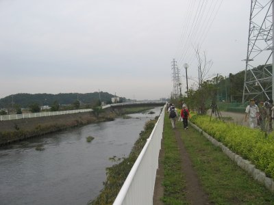 引地川沿いを歩く。